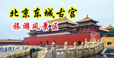 日本后入式中国北京-东城古宫旅游风景区